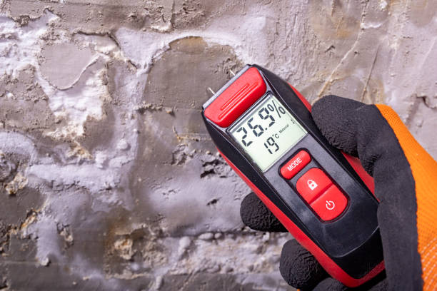 Best Mold Testing  in Candler Mcafee, GA