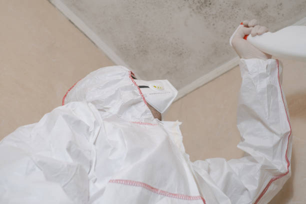 Best Toxic Mold Removal  in Candler Mcafee, GA