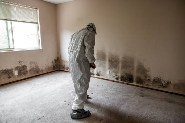 Best Crawl Space Mold Removal  in Candler Mcafee, GA